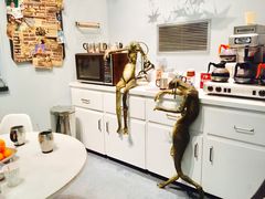 -奥兰多环球影城