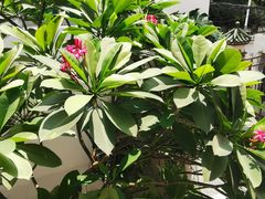 -随园花园餐厅(新港中路店)