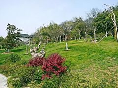 -辛亥革命博物院北区