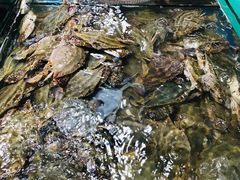 -王四营海鲜市场