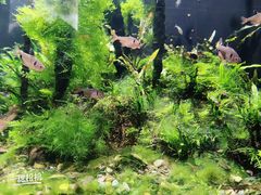 -成都浩海立方海洋公园