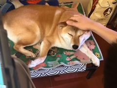 -About Bistro關於·泰式家庭料理