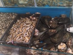 -云南巷海鲜大咖·可加工海鲜
