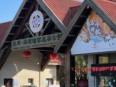 -上海海湾国家森林公园