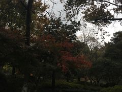 -山外山菜馆(玉泉路店)
