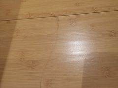 -全季酒店(广州越秀公园店)