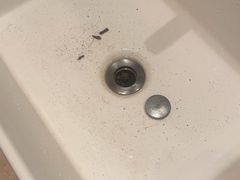 -候鸟水榕庄度假酒店