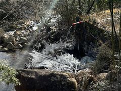 -安吉龙王山风景区