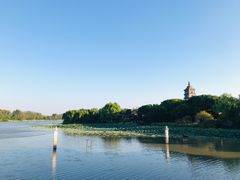 -红灯笼大酒楼(通湖路店)