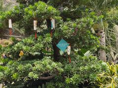 -济南植物园
