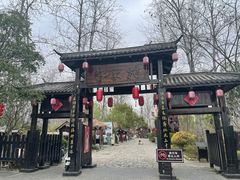 -合肥滨湖国家森林公园