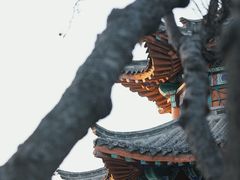 -济南大明湖景区
