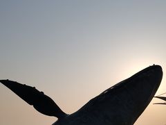 -烟台金沙滩海滨公园
