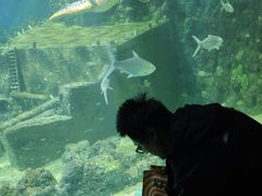 -嘉兴海底世界