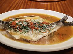 -老江南春·中国龙菜(衡山路店)