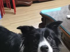 -臭鳜鱼人家·老字号徽菜