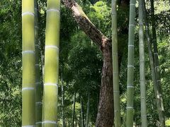 -东明山森林公园
