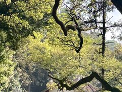 -安溪清水岩