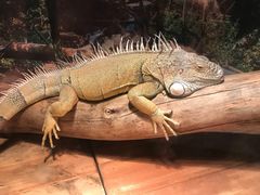 -多彩贵州城极地海洋世界