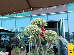 -La Terre乐田(万象城店)