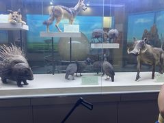 -国家自然博物馆