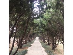 -洛阳古墓博物馆