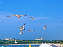 -海驴岛(荣成市)