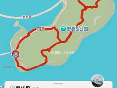 -野狸岛