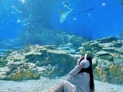 -海合安武汉极地海洋公园