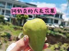 -大理洱海