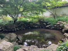 -杭州植物园