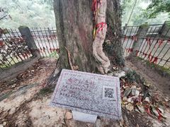 -梅岭神龙潭