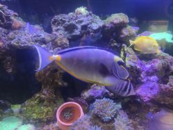 -Zoolung Zoolung动物主题公园(海信广场店)