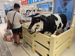 -红星前进面包牛奶公司(君太店)