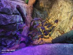 -沈阳海洋探索中心