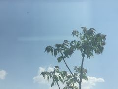 -南开大学滨海学院