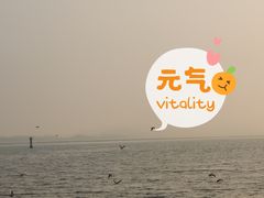 -深圳湾公园(南山区)