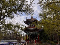 -翠湖公园