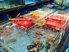 -新河畔海鲜酒楼(虎门店)