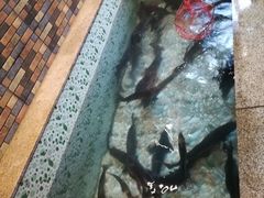 -荣德灶台鱼(圣泉寺店)