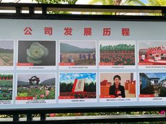 -亚龙湾国际玫瑰谷