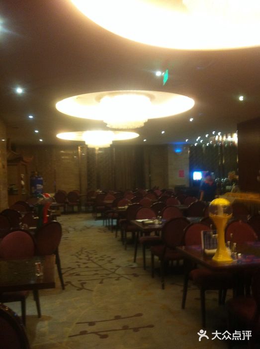 桃源假日酒店餐厅·大益膳房图片