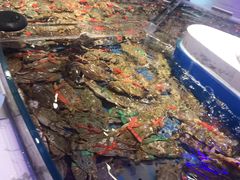 -澜悦港海鲜体验主题餐厅