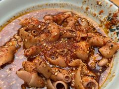 -高记什邡肖麻辣(成都店)