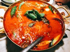 -雀蓝川菜(奥体广场店)