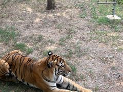 -秦皇岛野生动物园