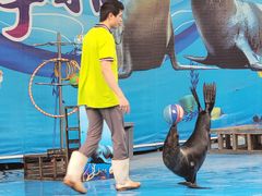 -荆州中山公园动物园