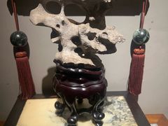 -觀芷隐轩