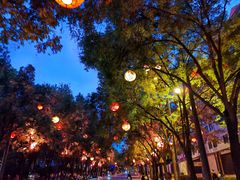-城市运动公园(未央区)
