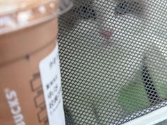 -星巴克臻选(深圳万象天地旗舰店)